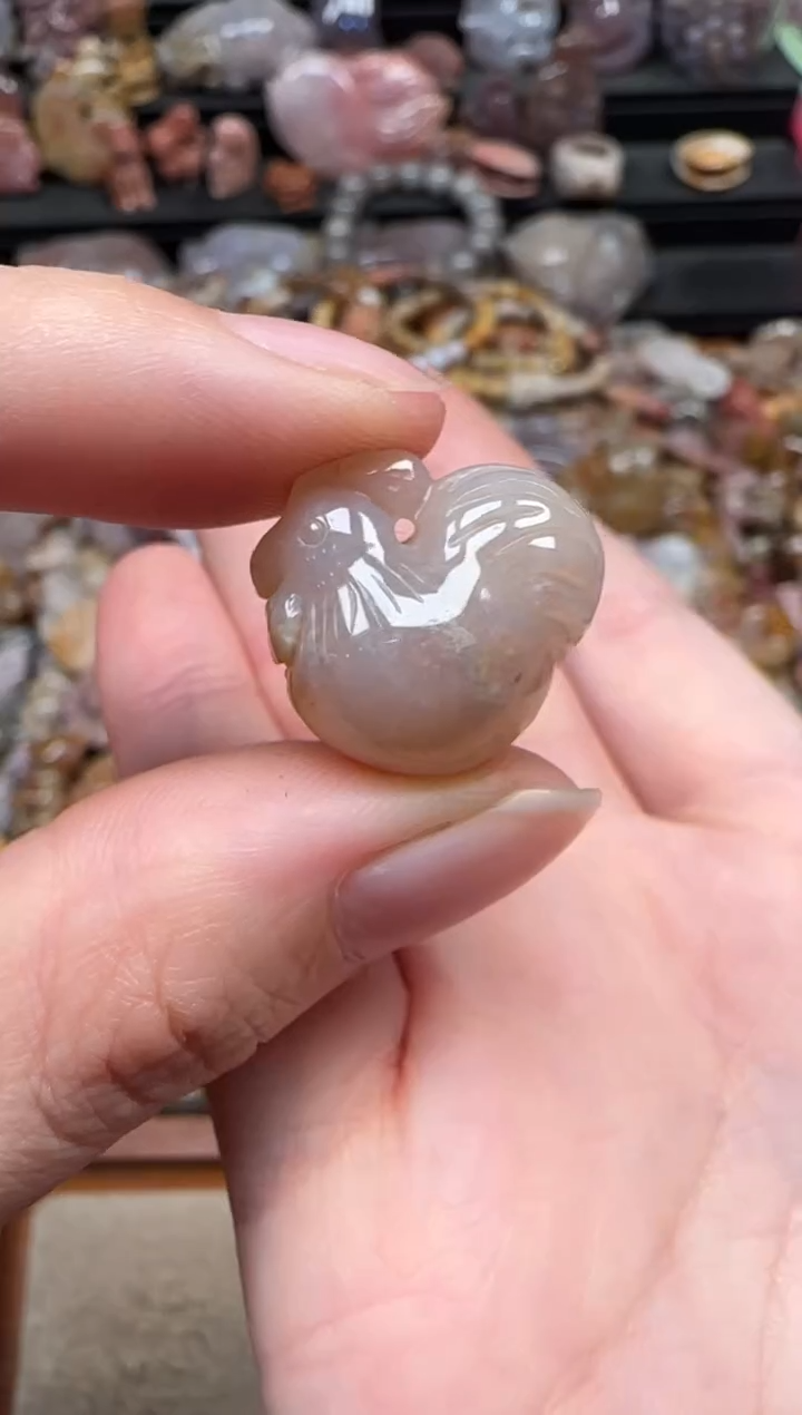 颈饰未镶嵌硅化珊瑚（珊瑚玉）561