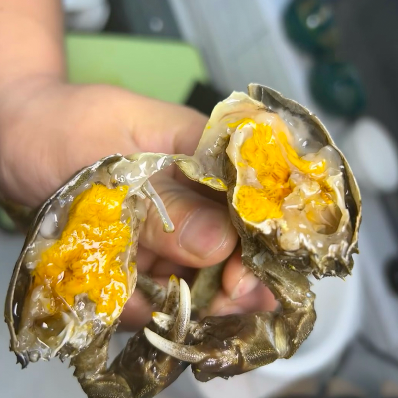 【顺丰冷链】0.8-1两螃蟹鲜活15只装 再送5只 到手20只