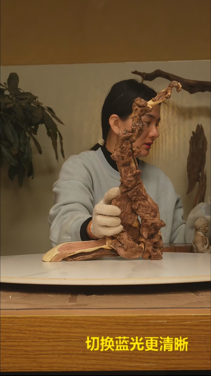 木再***-根雕摆件类986