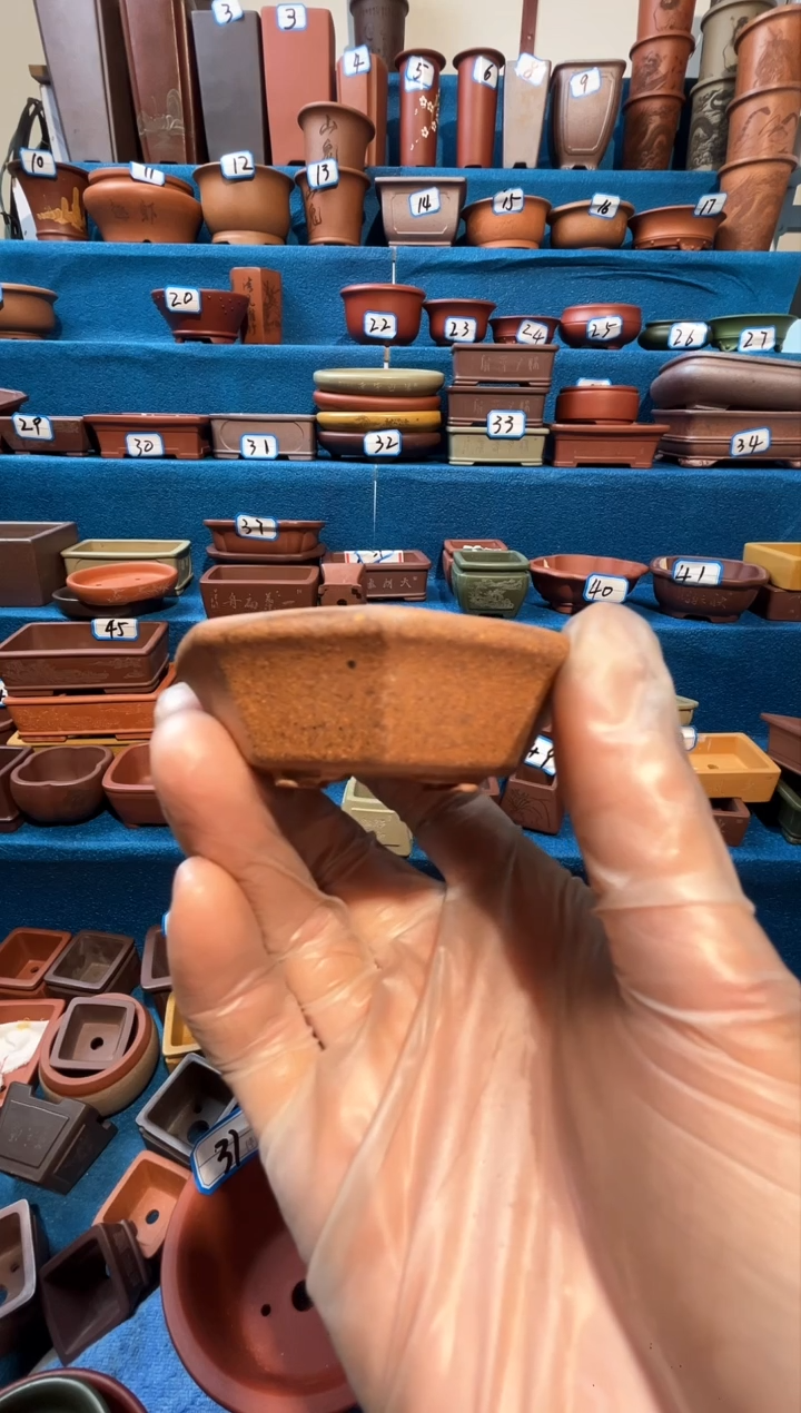 【闪购商品】紫砂紫砂花盆10只