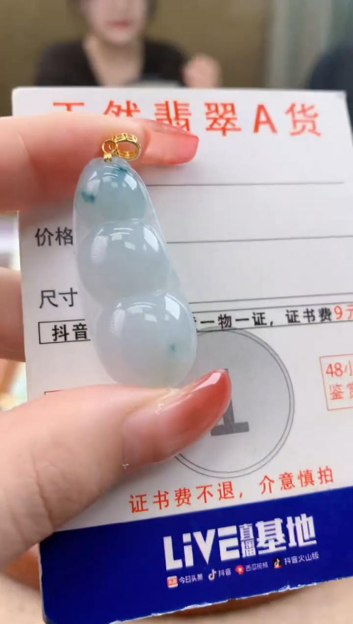 颈饰未镶嵌翡翠天然A货翡翠挂件