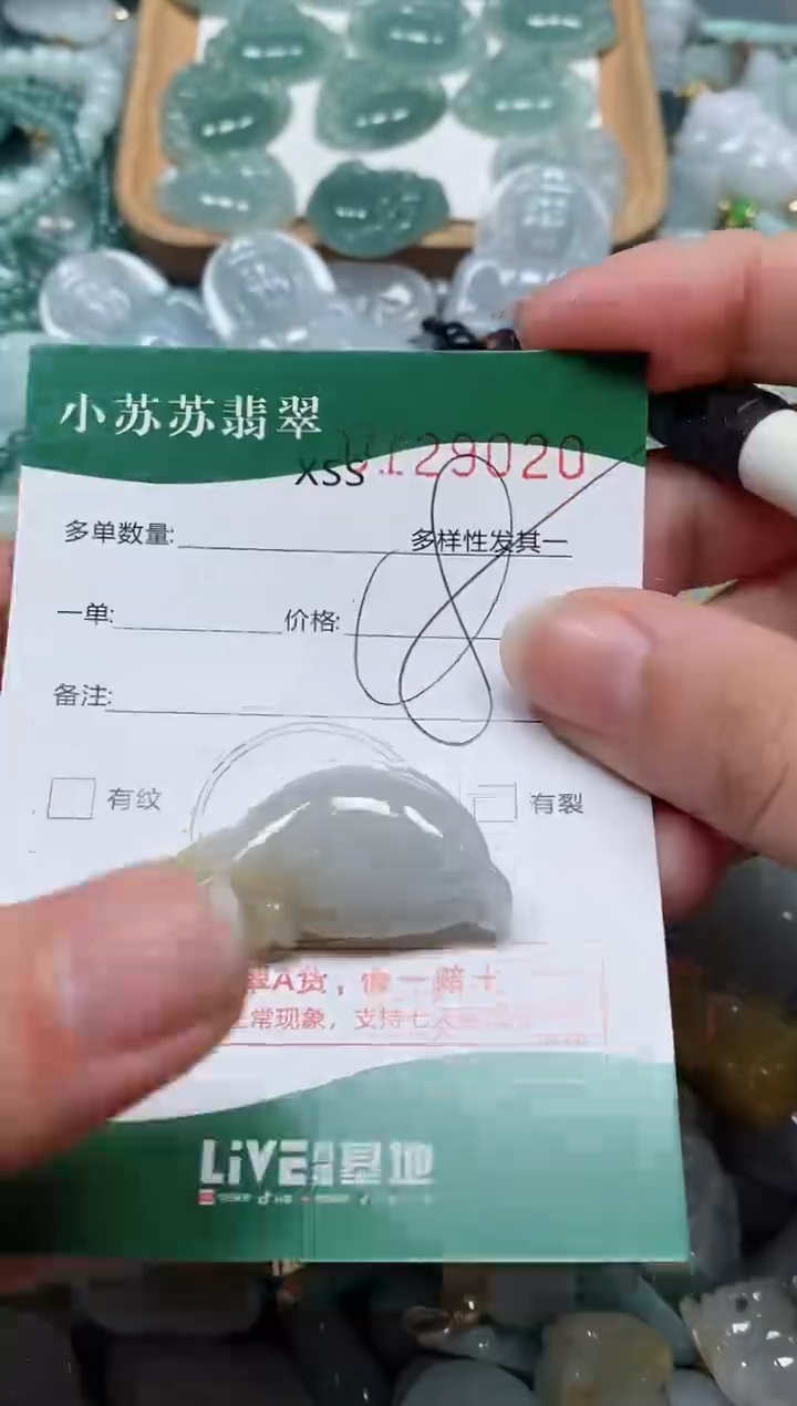 【闪购商品】翡翠颈饰未镶嵌闪购商品0129020