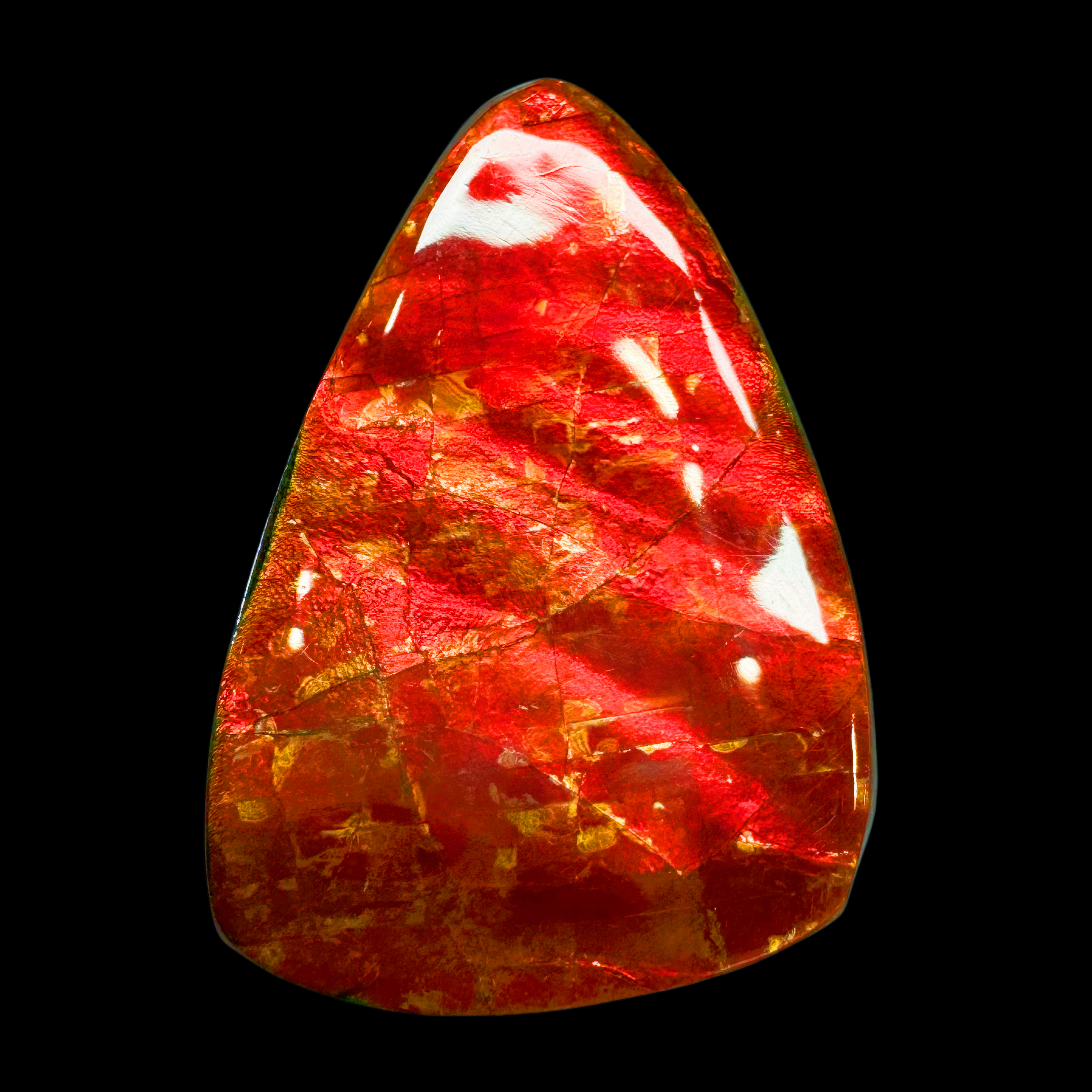 【斑彩】50.3mm 原石 产地：加拿大 BC N-41 贝壳摆件 H1