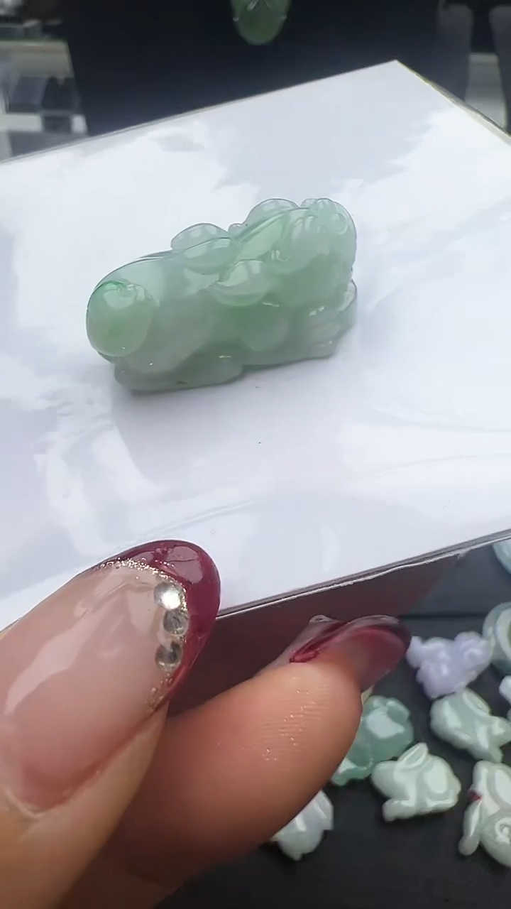 【闪购商品】翡翠颈饰未镶嵌貔貅