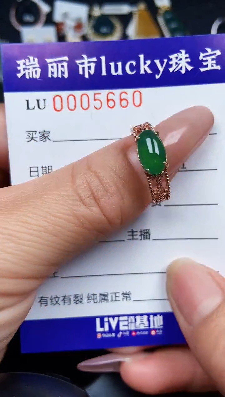 翡翠银S925镶嵌颈饰5660