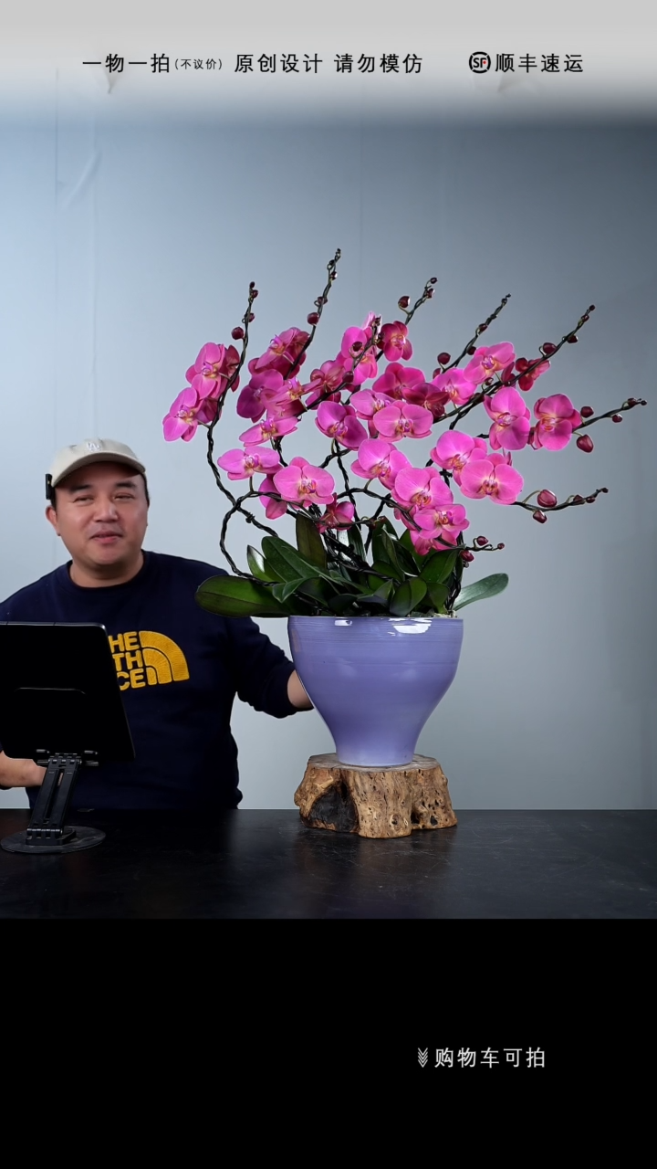 【闪购商品】080号链接【一物一拍】艺术盆景