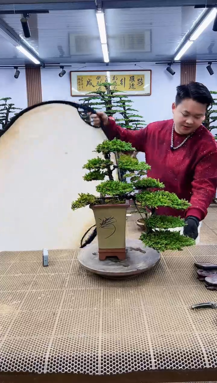 【闪购商品】000000000