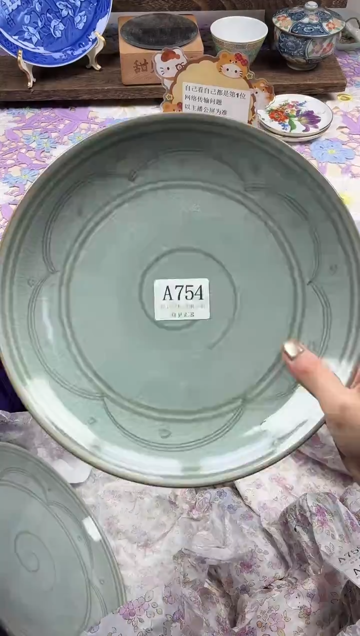 瓷片.*                A754