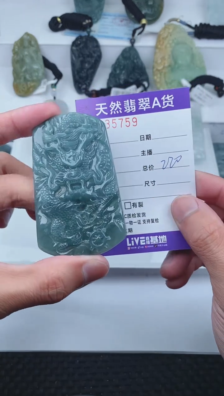 【闪购商品】翡翠颈饰未镶嵌       759