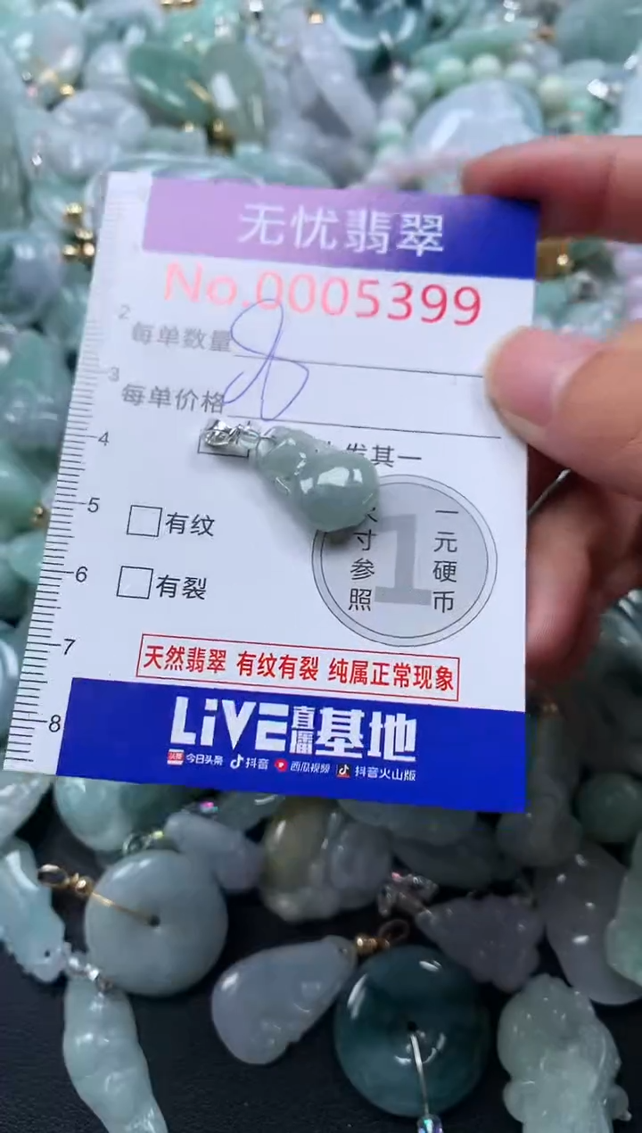 颈饰未镶嵌翡翠5399