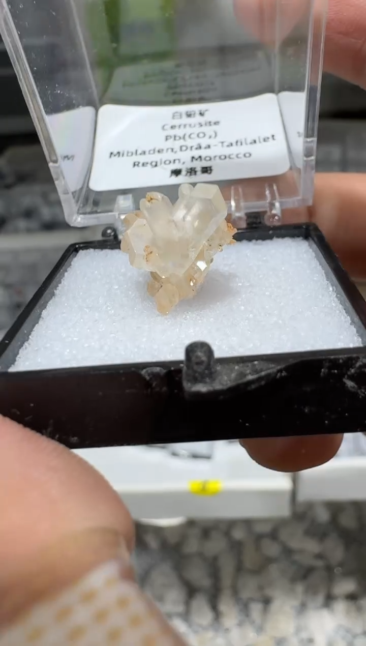 【闪购商品】月下珠宝严选矿物