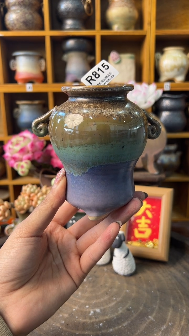 815内口4【多肉花盆多肉盆】