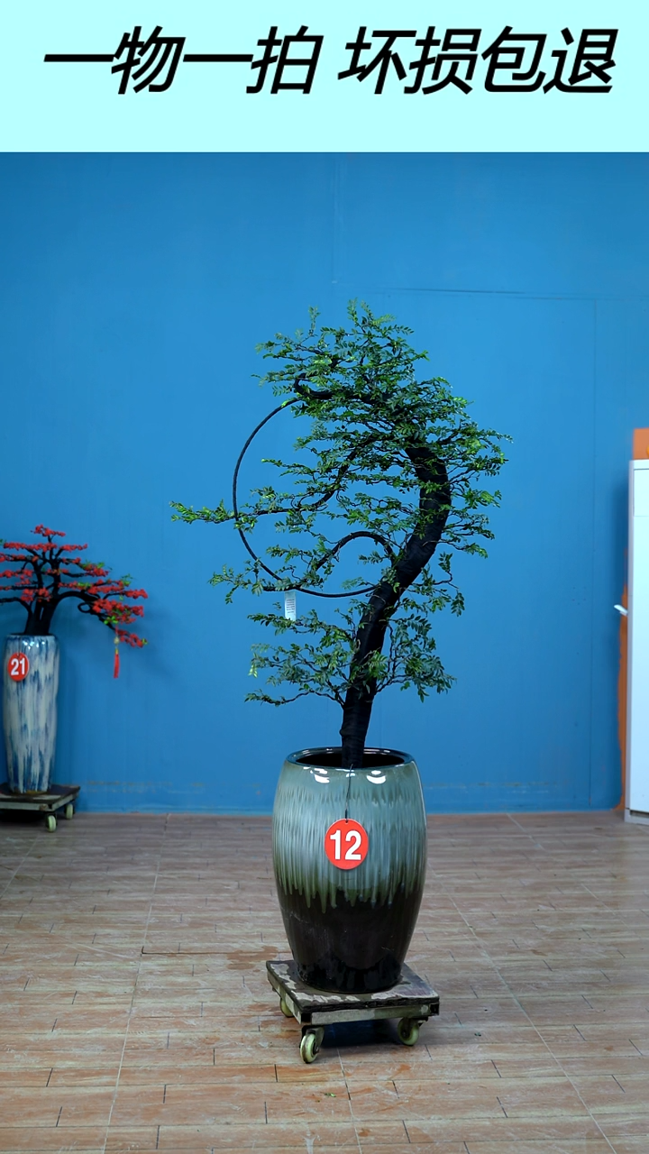 以实际为准广东小叶紫檀花好月圆12号