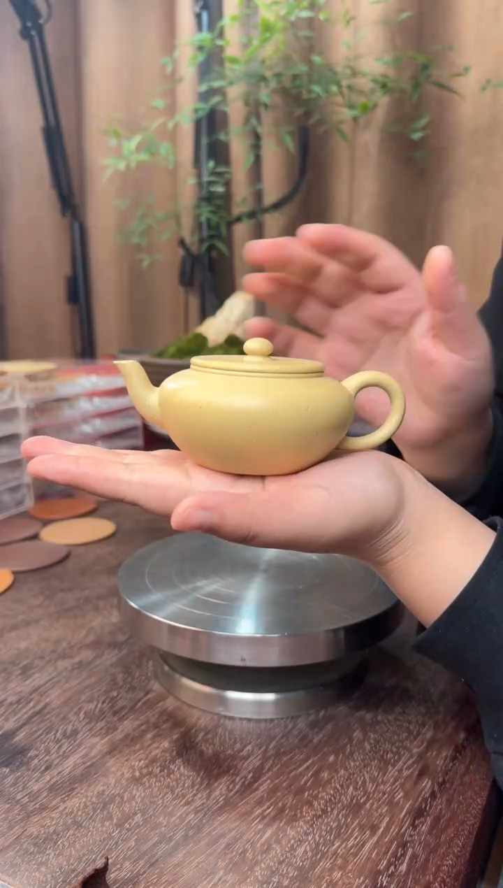 茶壶紫砂舒源150CC--超精工半手--大水潭本绿-原矿无添加