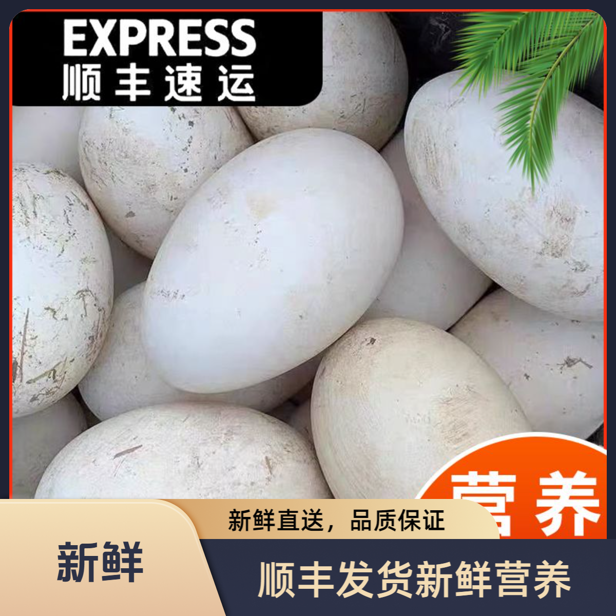 【顺丰包邮】新鲜土鹅蛋110克-130克*12枚双黄蛋双黄率95%