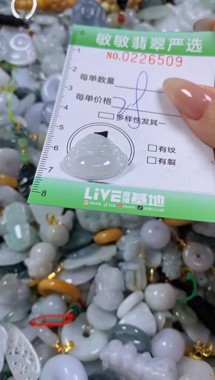 翡翠未镶嵌颈饰闪购0226509