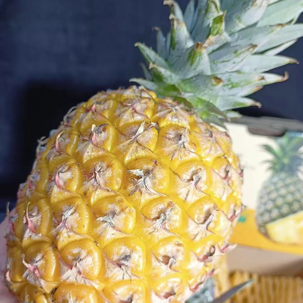 【金钻凤梨】新到嘿凤梨！金砖凤梨嘎嘎甜，礼盒装4.5斤起金钻凤梨海南省