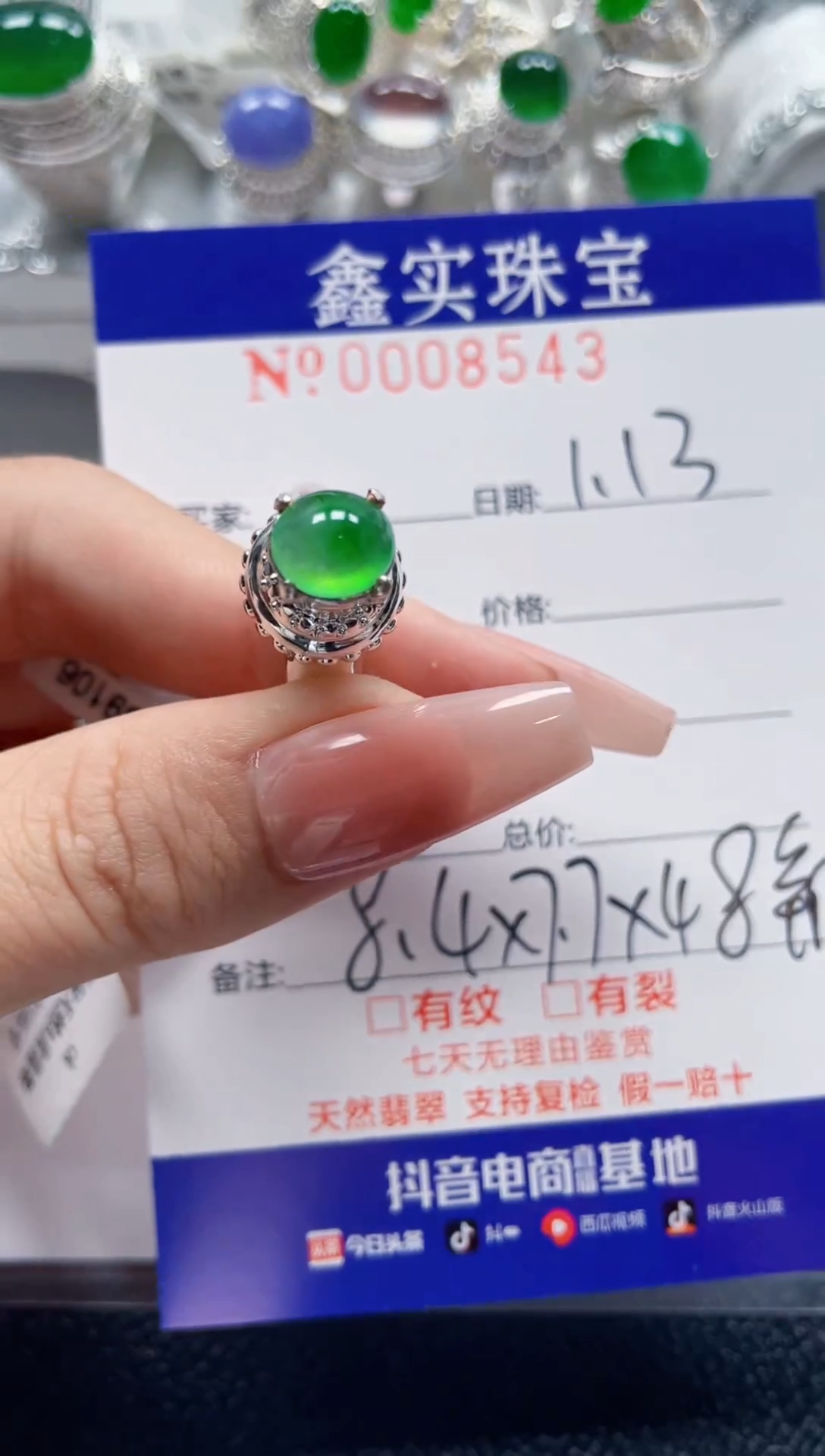 【闪购商品】翡翠颈饰未镶嵌/85430000