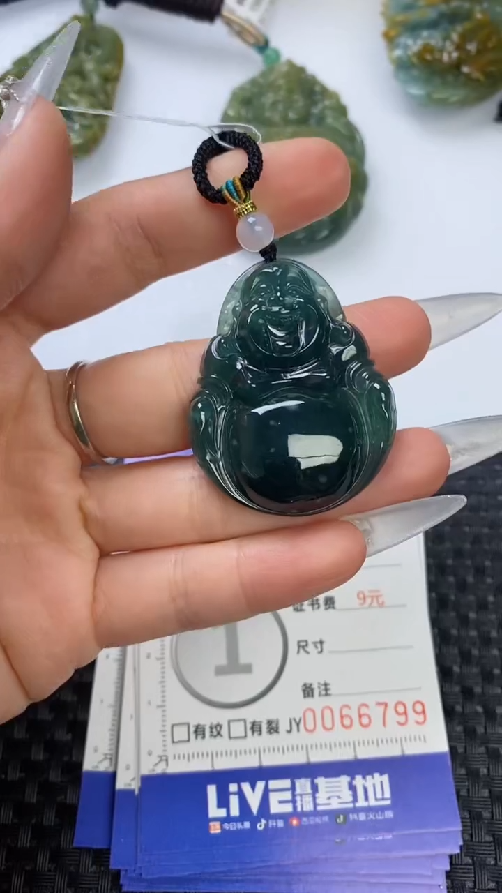 【闪购商品】翡翠颈饰未镶嵌1111111111111111