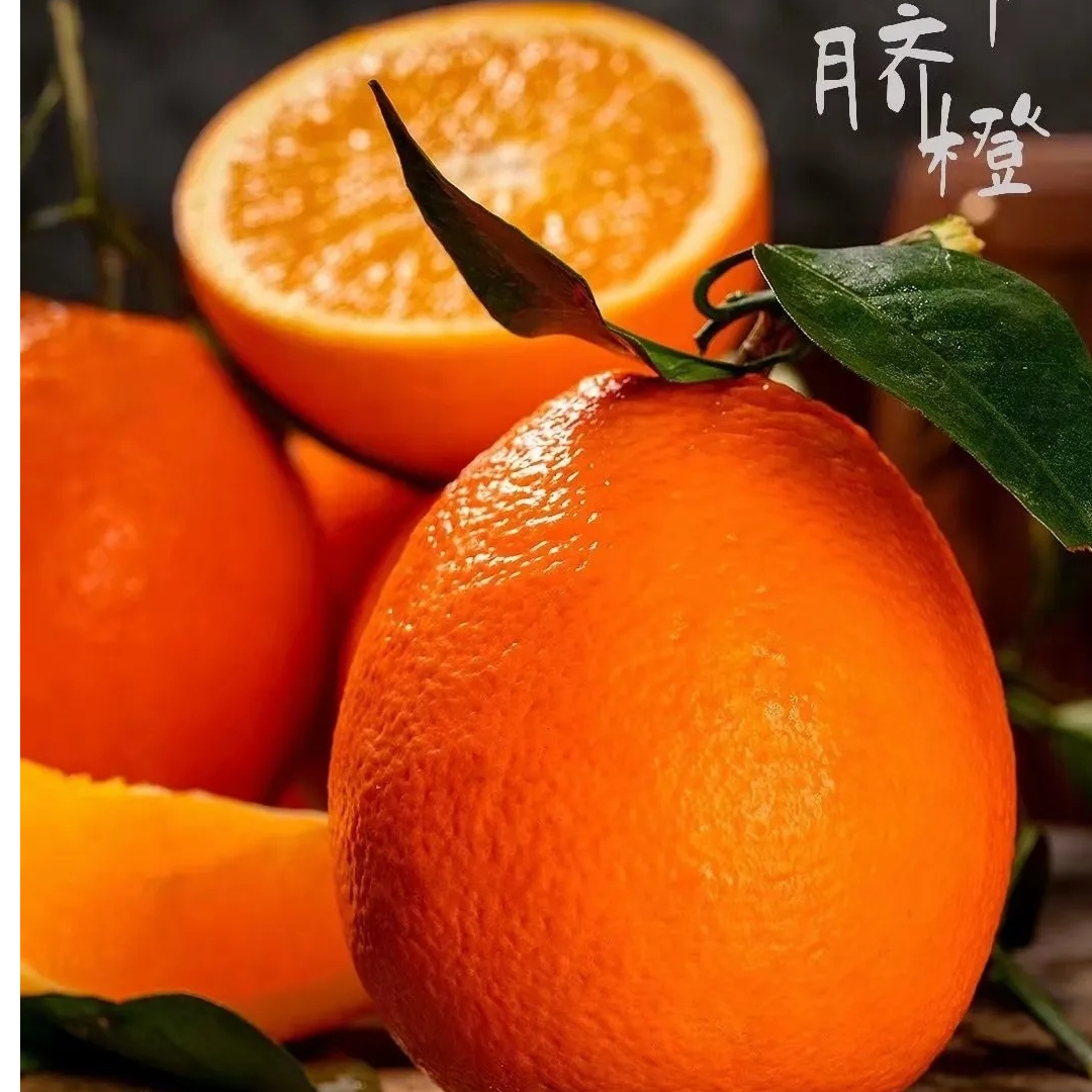正宗奉节云阳脐橙（纽荷尔送人送礼）鲜果当天现摘现发