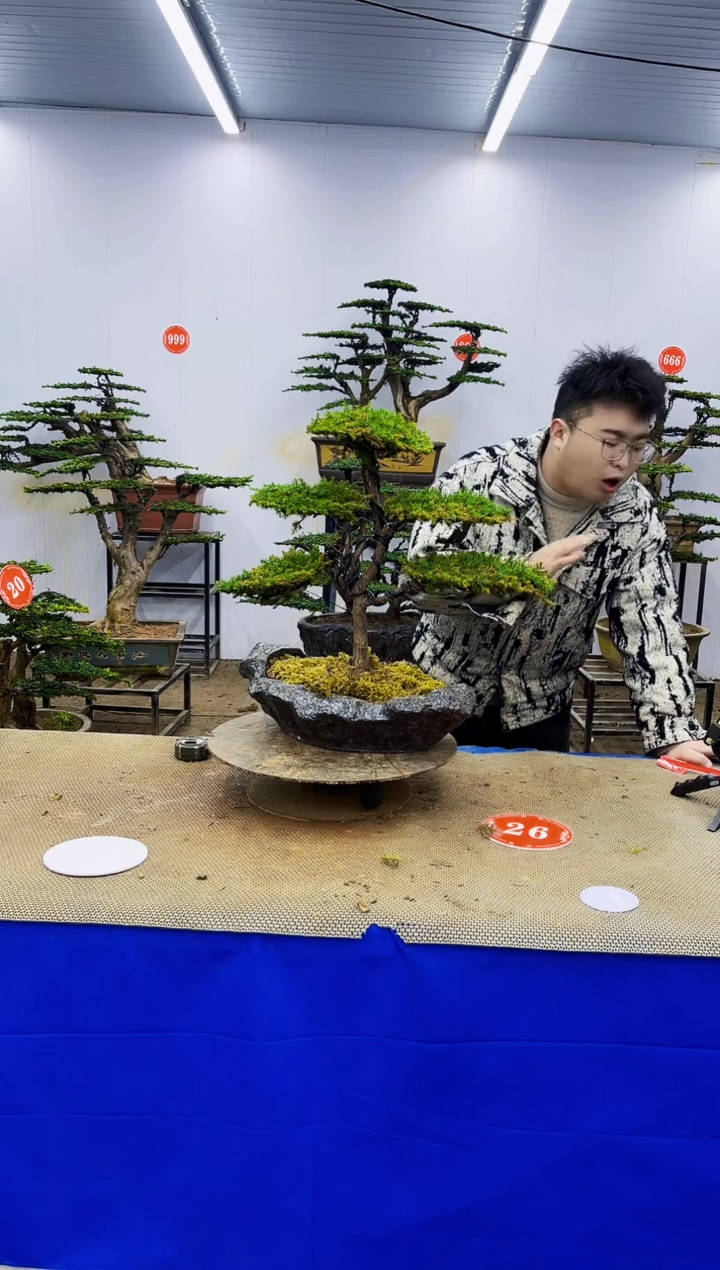 无花朵一物一拍，所见即所得