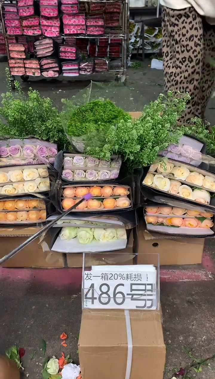 486号♥含20%耗损发一箱