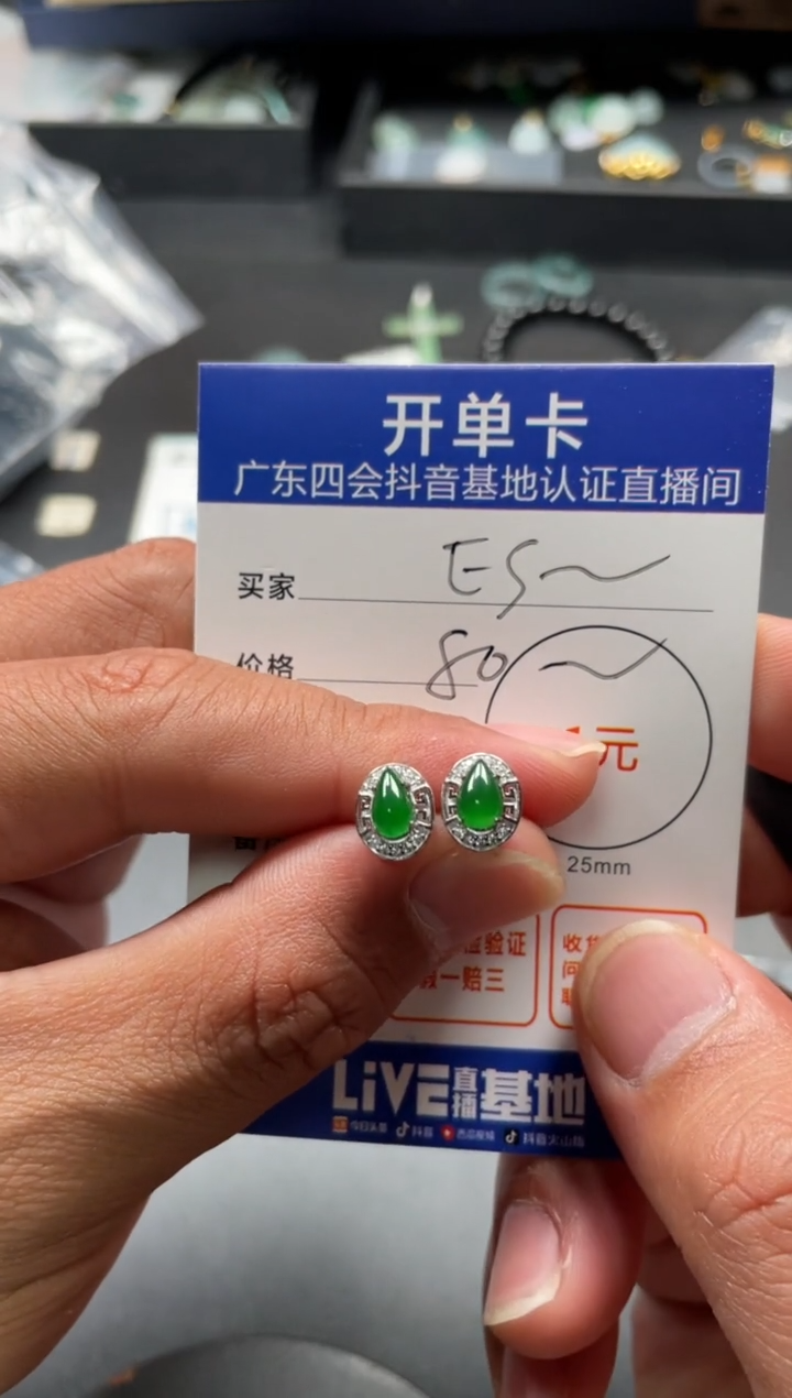 颈饰未镶嵌翡翠E****a耳钉