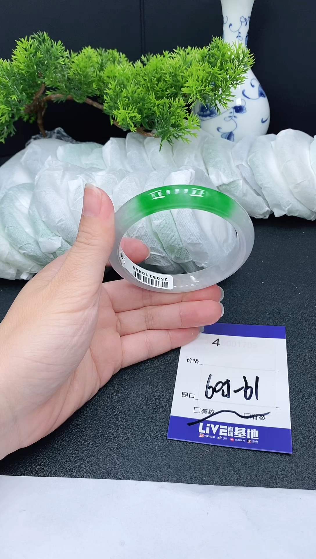 未镶嵌手镯翡翠4