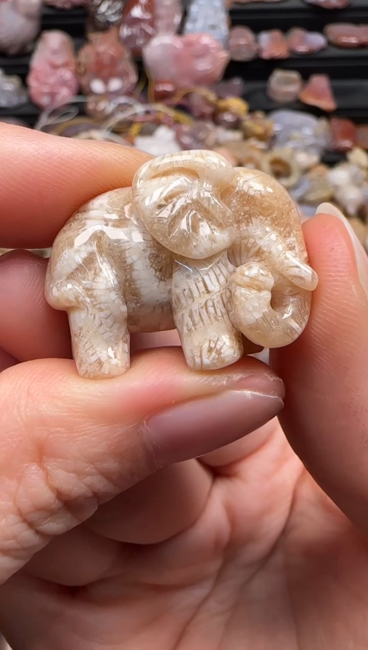 【闪购商品】硅化珊瑚（珊瑚玉）颈饰未镶嵌616