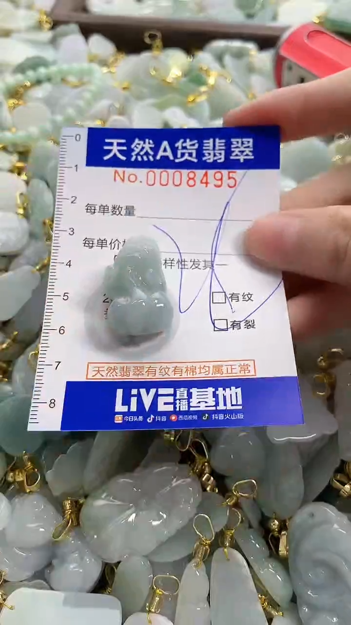 颈饰未镶嵌翡翠天然A货翡翠