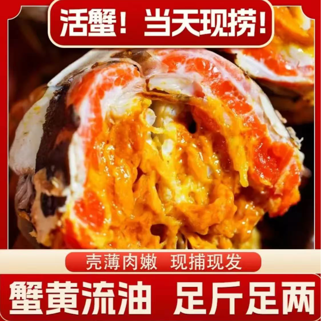 【活蟹现发】苏州精品大闸蟹3.1-2.8两 全母蟹10只 顺丰/京东冷链鲜活到家