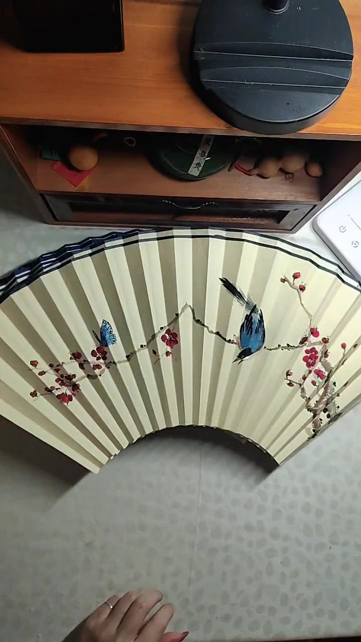 18方扇面红梅小鸟