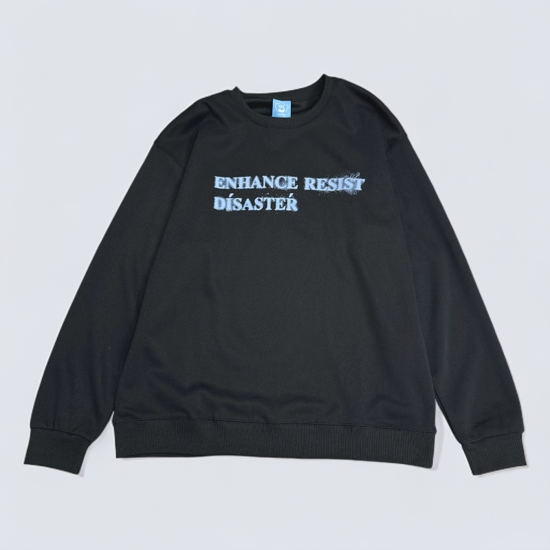 卫衣男士秋季百搭长袖通勤打底约外穿印花字母圆领上衣25562