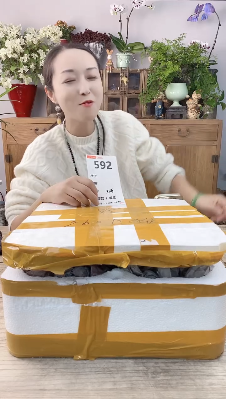 小玩子花盆直播编号592