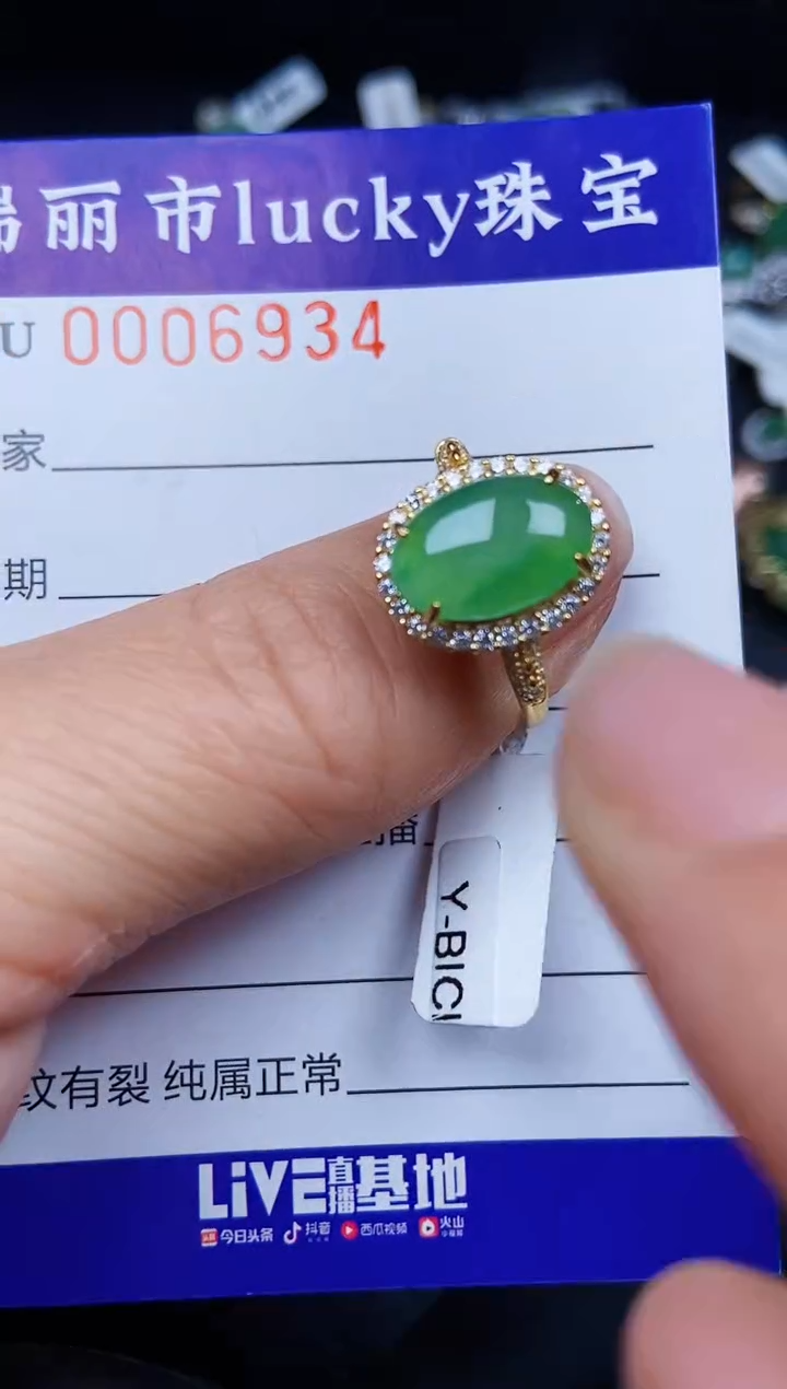 翡翠银S925镶嵌颈饰6934