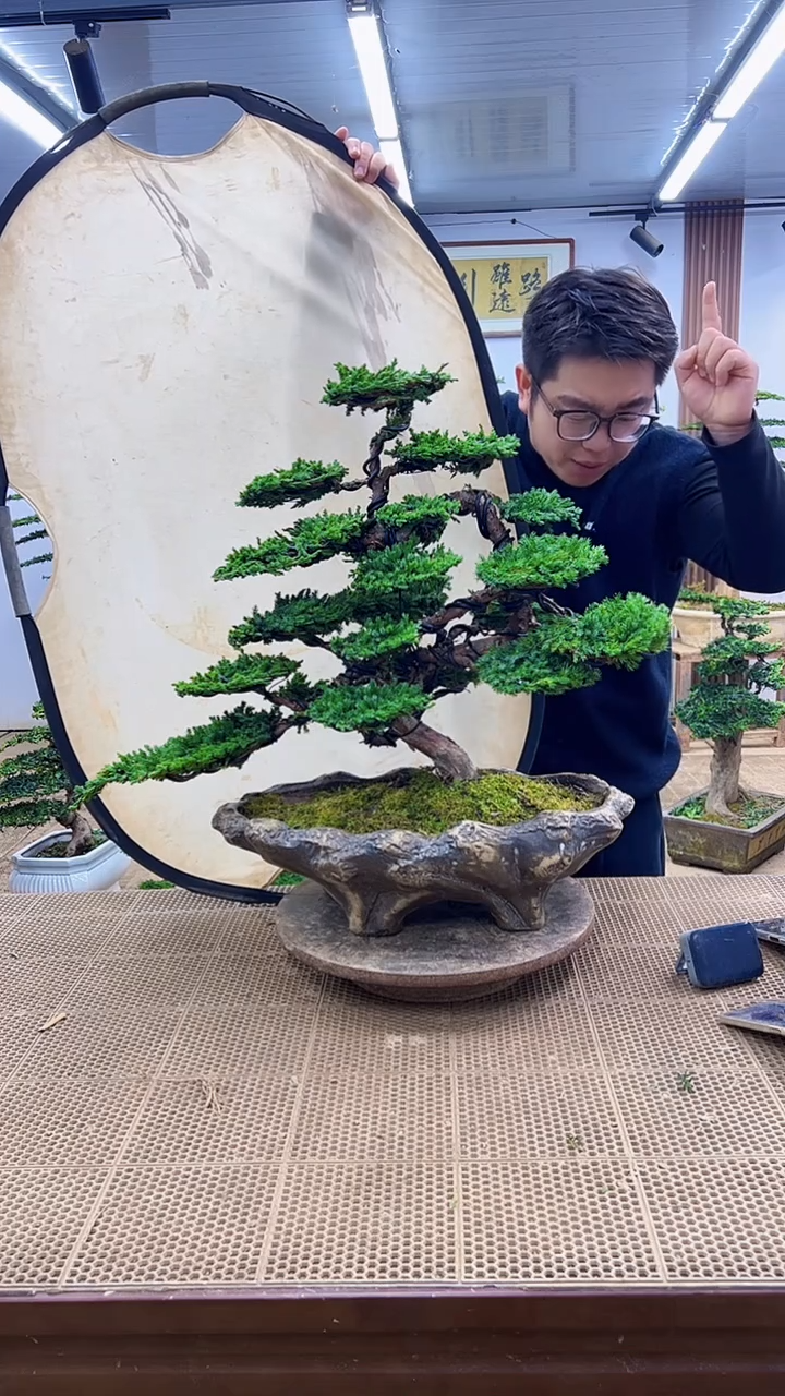 无花朵一物一拍，所见即所得