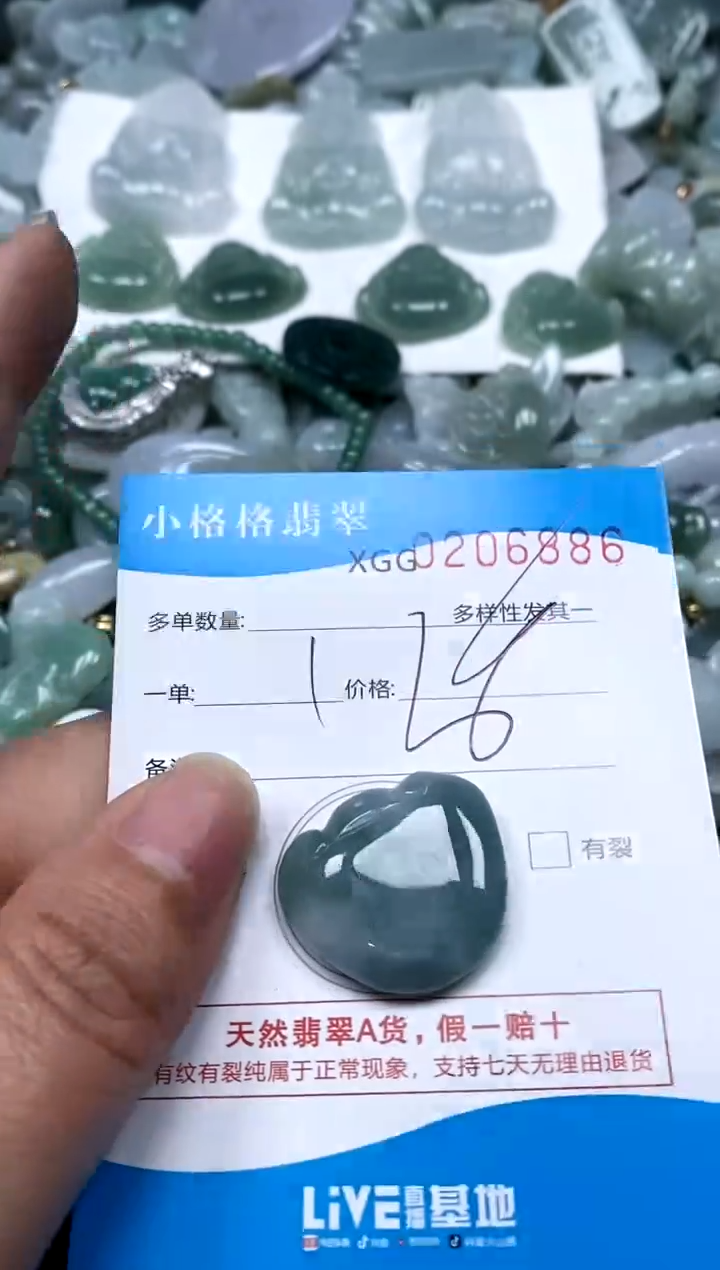 【闪购商品】翡翠颈饰未镶嵌闪购商品0206886