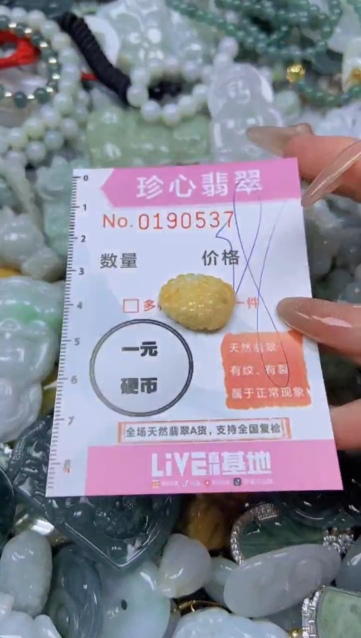 翡翠未镶嵌颈饰闪购链接0190537