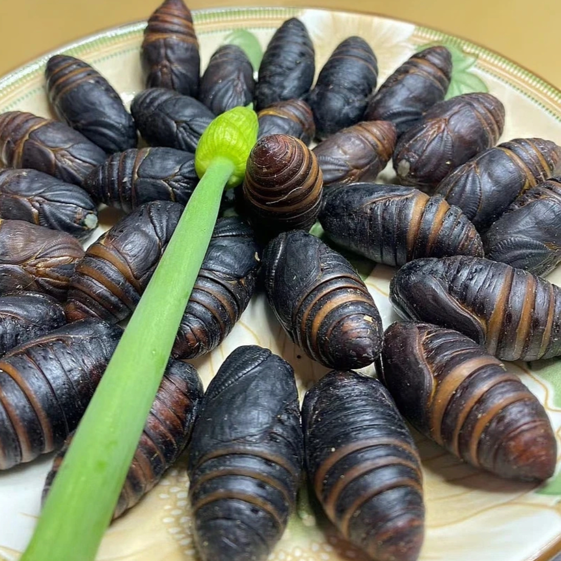 【大黑蚕蛹】东北特产高蛋白柞树蚕蛹茧蛹绿色低脂特色美食现货