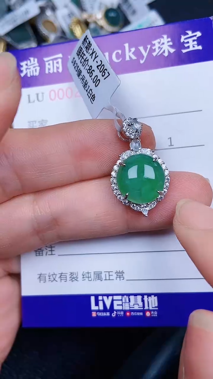 颈饰银S925镶嵌翡翠2150