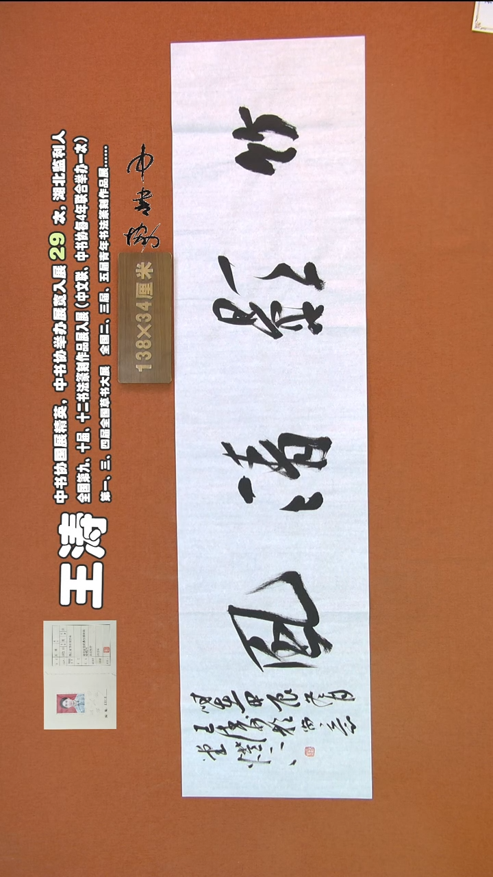 【闪购商品】书法253王涛书法作品