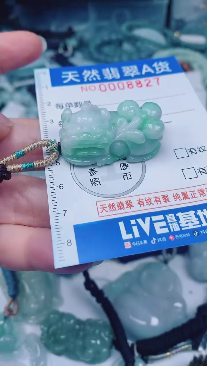 颈饰未镶嵌翡翠00008827