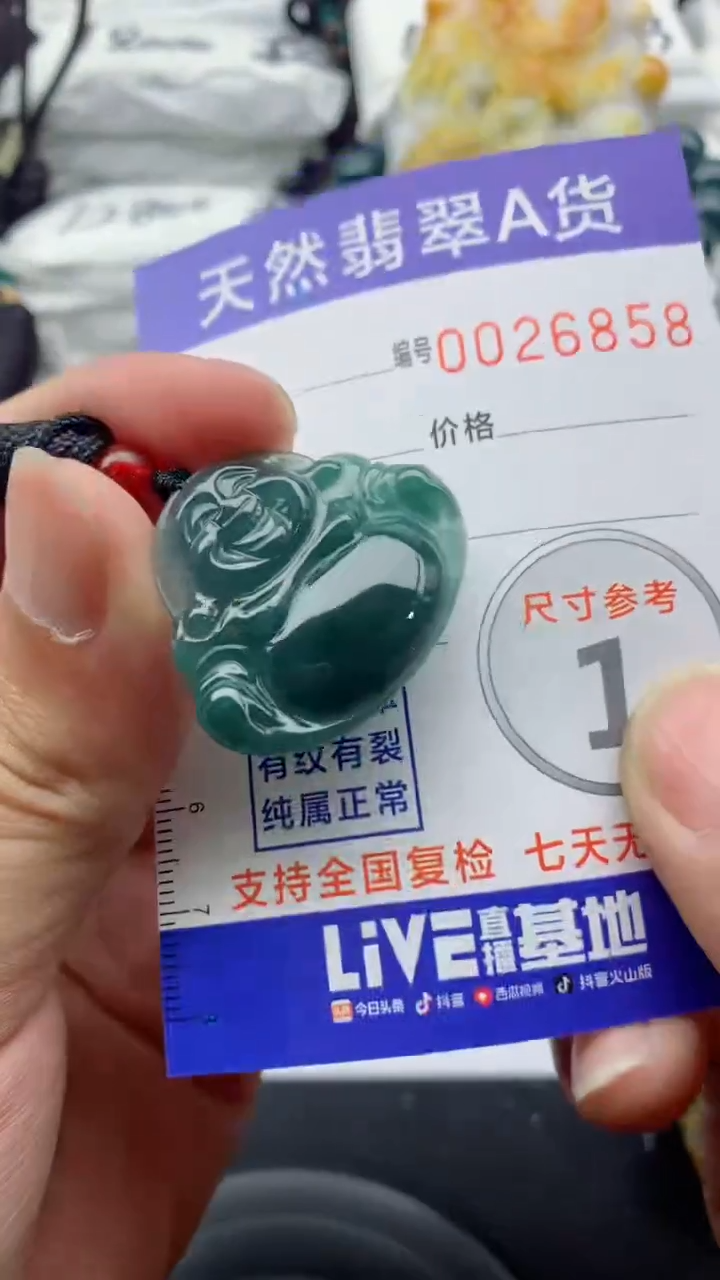 翡翠未镶嵌颈饰88888888