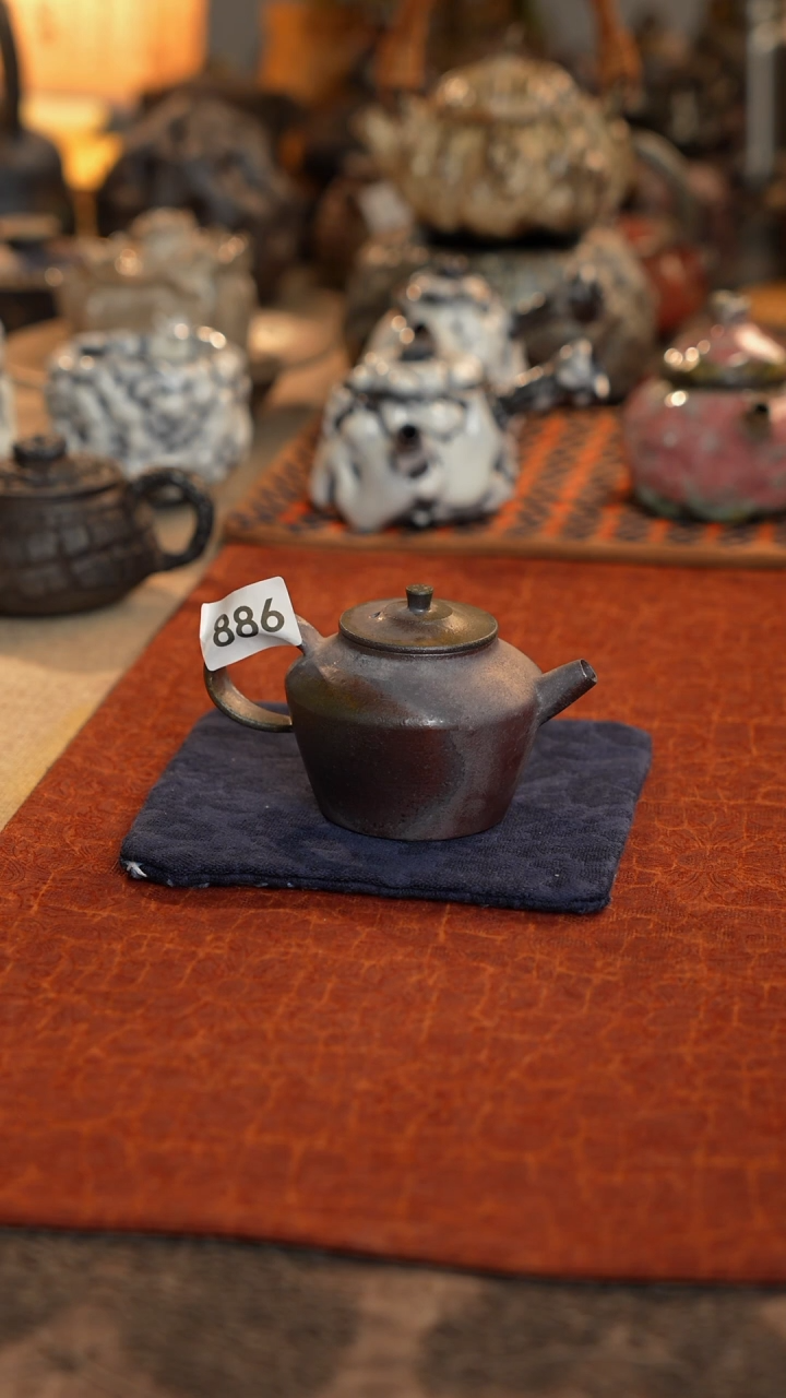 【闪购商品】壶精品好物推荐分享886