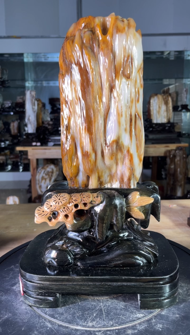 【闪购商品】硅化玉珠宝奇石未镶嵌1