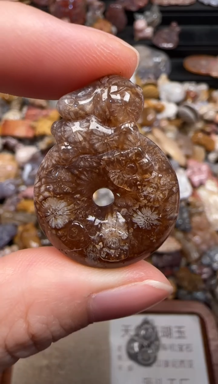 硅化珊瑚（珊瑚玉）未镶嵌颈饰371