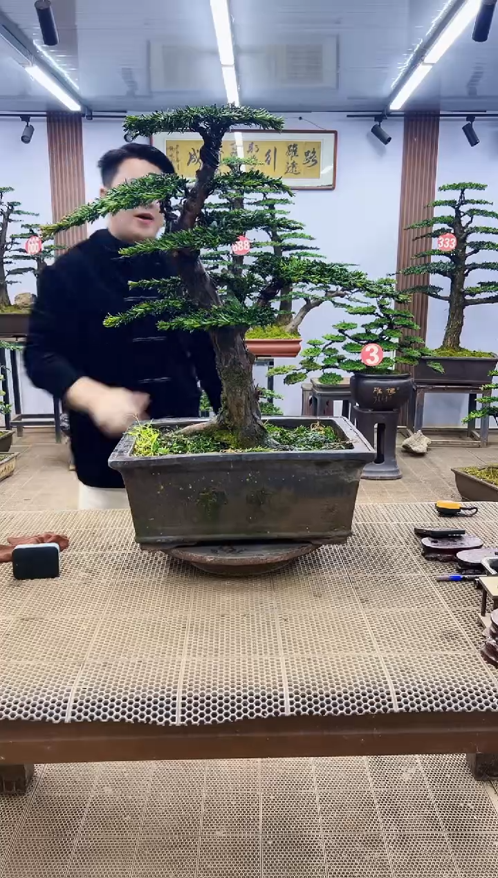 【闪购商品】0000000