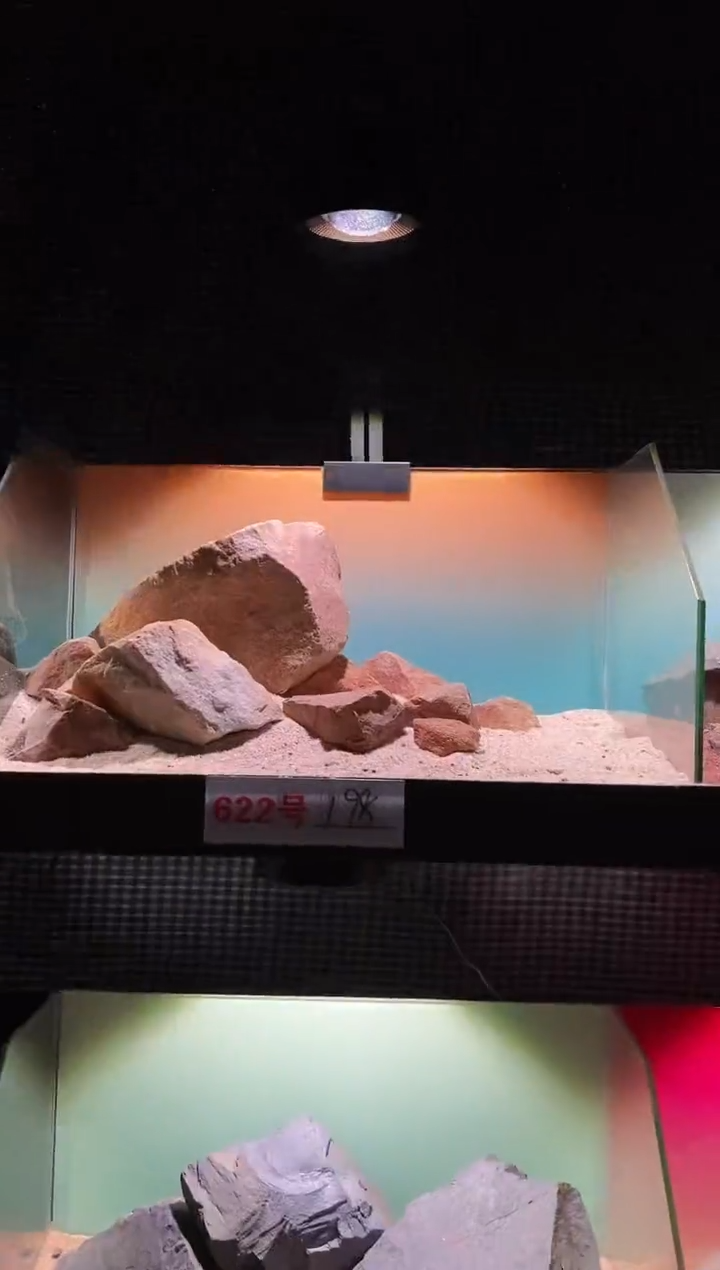 622号鱼缸造景（不含底砂）