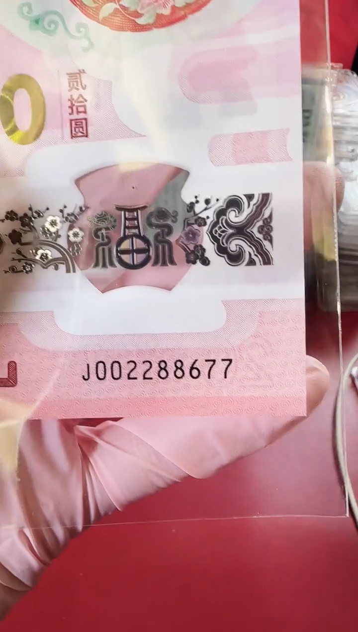 【闪购商品】塑料2025蛇钞单张啊啊啊啊啊