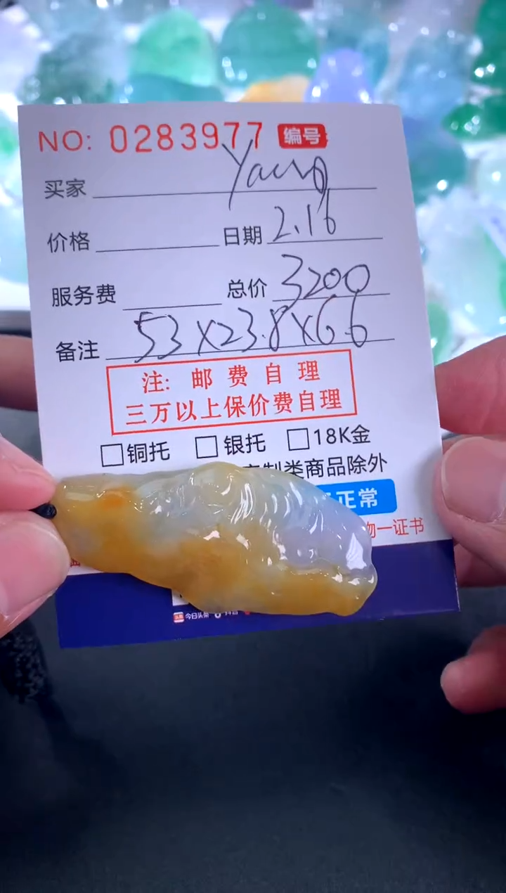 【闪购商品】翡翠颈饰未镶嵌好好